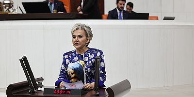 Fahri Trafik Müfettişlerinin Kestiği Cezalar Meclis Gündeminde!