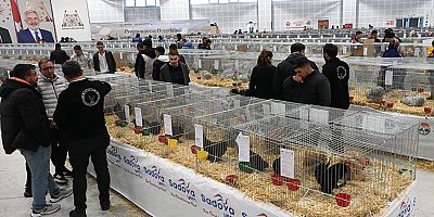 Farklı ırklardan 1750 kanatlı hayvan ve süs tavuğu Isparta’da
