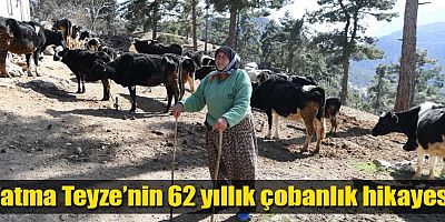 Fatma Teyze’nin 62 yıllık çobanlık hikayesi