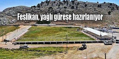 Feslikan, yağlı güreşe hazırlanıyor