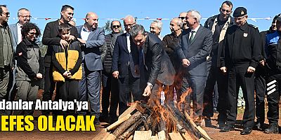 Fidanlar Antalya'ya nefes olacak