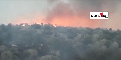 Finike'de orman yangını