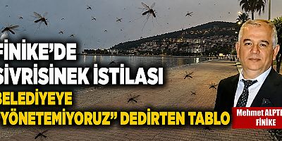 Finike'de sivrisinek istilası!