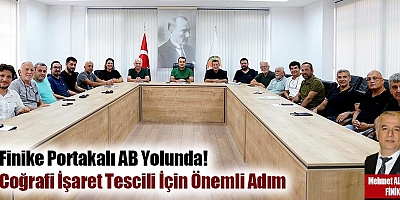 Finike Portakalı AB Yolunda! Coğrafi İşaret Tescili İçin Önemli Adım