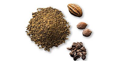 Fitoterapi ürünleri ile COVID 19’a karşı direncinizi artırın