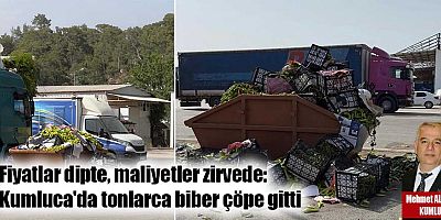 Fiyatlar dipte, maliyetler zirvede: Kumluca'da tonlarca biber çöpe gitti