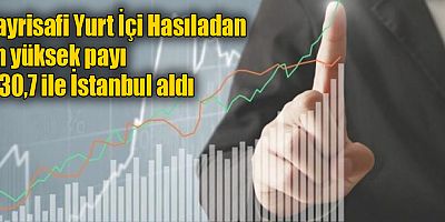 Gayrisafi Yurt İçi Hasıladan en yüksek payı %30