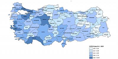 Gayrisafi Yurt İçi Hasıladan (GSYH) en yüksek payı %30