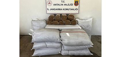 Gazipaşa'da 800 kilo bandrolsüz kıyılmış tütün ele geçirildi
