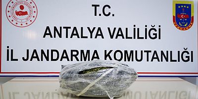 Gazipaşa'da jandarmadan uyuşturucu operasyonu
