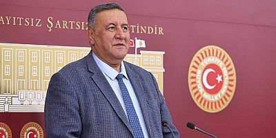 Gıdada salmonella şoku