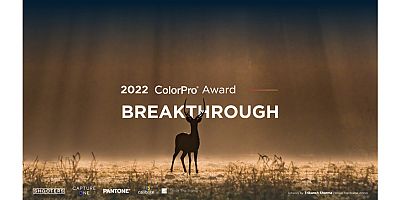 Global Fotoğraf Yarışması ColorPro Award 2022 Başlıyor