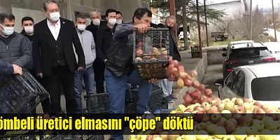 Gömbeli elma üreticisi isyan etti