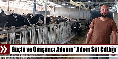 Güçlü ve Girişimci Ailenin 