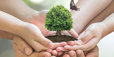 Gündelik hayatta çevreyi korumak için yapabileceğiniz 7 şey