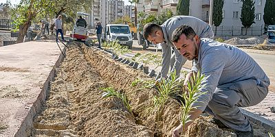 Güneş’e yemyeşil bir yaşam bahçesi