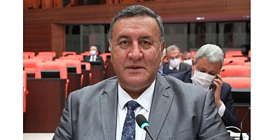 Gürer: “1 milyona yakın sürücü ehliyet affı bekliyor”