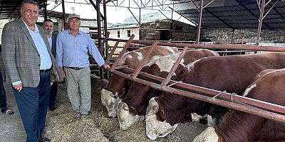 Gürer: “17 Bin Kilometre Öteden Et İthalatı”