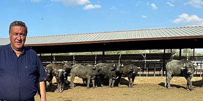 Gürer: “1960 yılında 1 milyon 600 bin olan manda sayısı 170 bine düştü”