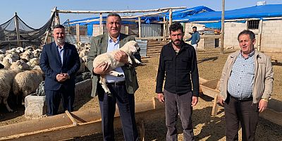 Gürer” 1960 yılında kişi başı 3 hayvan düşerken bugun bir hayvan düşmüyor”