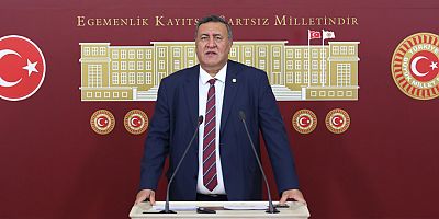 Gürer: “2021 yılının ilk 6 ayında, 1155 emekçi iş cinayetlerinde yaşamını yitirdi”