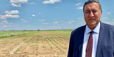 Gürer: “22 yılda yaklaşık 5 İstanbul büyüklüğünde tarım alanı kaybettik”