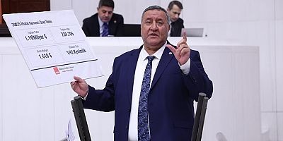 Gürer: “3 yılda 112 bin hayvancılık işletmesi kapandı”