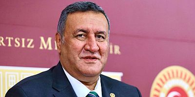 Gürer: “30 Ağustos Zaferi, Milletimizin en önemli destanlarından biridir”