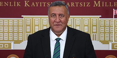 Gürer: 35 liralık yaş çay fiyatı üreticiyi hüsrana uğrattı