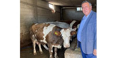 Gürer: “6 ay önce 180 lira olan 50 kg’lık süt yemi 280 liraya çıktı”