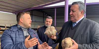 Gürer: “Açıklanan pancar taban fiyatı, ancak maliyeti kurtarır”