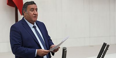 Gürer: “Afrika’yı bırak Türkiye’ye bak”