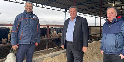 Gürer: “Ahırda dert var, kasapta zam”