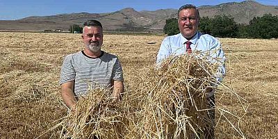 Gürer: “Anız yakılması sadece orman yangınlarına sebep olmakla kalmıyor, aynı zamanda doğanın dengesini de bozuyor”