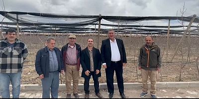 Gürer: “Artan Maliyetler ve Pazarlama Sorunları Üreticiyi Zorluyor”