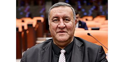 Gürer: “Asgari ücret açlık sınırının altında, işçiye ‘aç yaşa’ deniliyor”