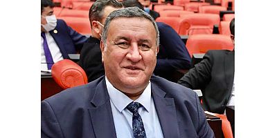 Gürer: “Aspir bitkisi için özel destek sağlanmalıdır ”