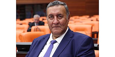 Gürer: Ayçiçeğinde ithalatı önlemenin yolu çiftçiyi desteklemektir