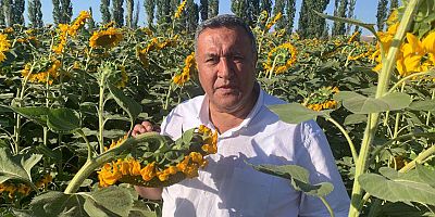 Gürer: “Ayçiçek taban fiyatı açıklanmalıdır “