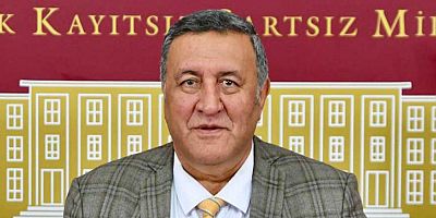 Gürer: Bakanlık pestisit sonuçlarını kamuoyuna açıklamalı