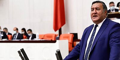 Gürer: “Balon balıkları Akdeniz’i tehdit ediyor”