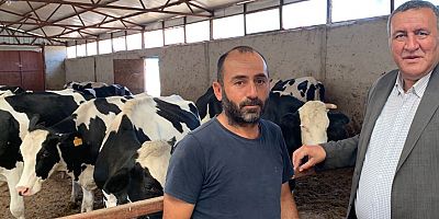  Gürer: “Besici, süt ineklerini gözyaşları ile kesime gönderiyor”