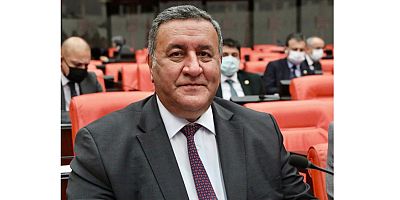 Gürer: “Binlerce kadın mobing ve şiddete maruz kalmaktadır”