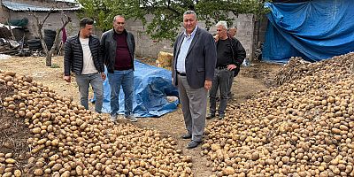 Gürer: “Binlerce ton patates hayvan yemi oldu”