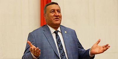 Gürer: “Biraz geç kalmadınız mı?”