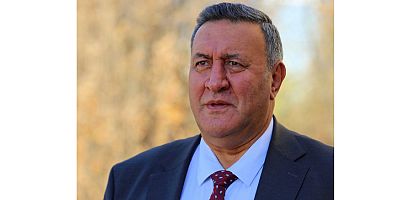 Gurer: Borca battık