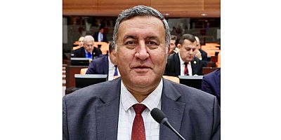 Gürer: “Boşanma da borçlanma da artıyor”