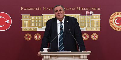 Gürer: “Bu zulümden vazgeçilsin, sabit saat uygulaması sona erdirilsin”