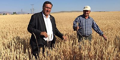 Gürer: “Buğday taban fiyatı çiftçi refahını sağlamaz”