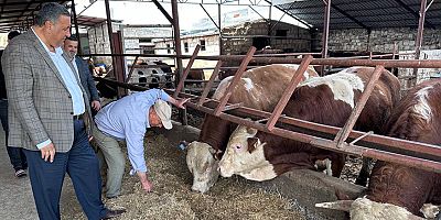 Gürer: “Büyükbaş hayvan ithalatı kimler kazanıyor?”